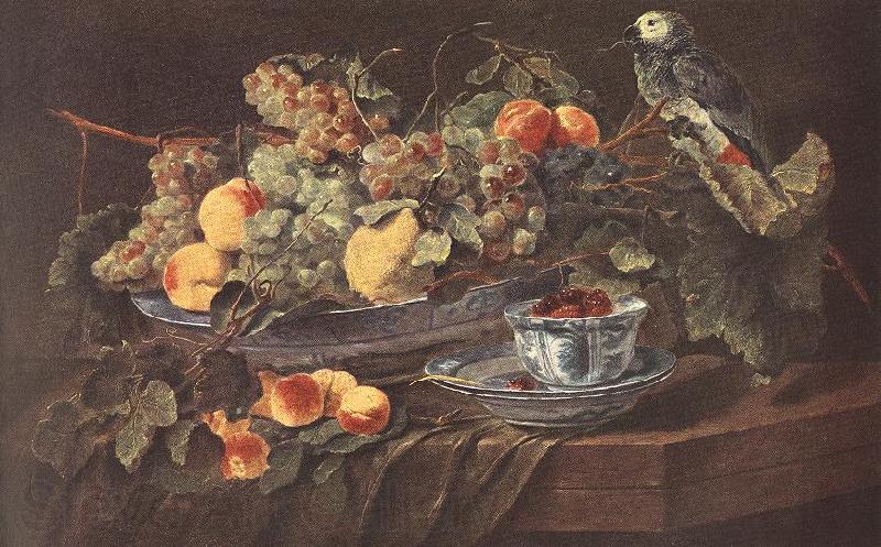 FYT, Jan Still-life with Fruits and Parrot sdg